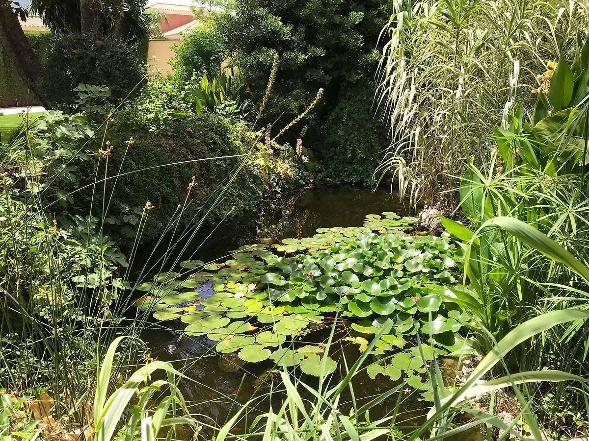 科尔蒂霍安达卢兹住宿加早餐旅馆 阿尔豪林格朗德 住宿加早餐酒店